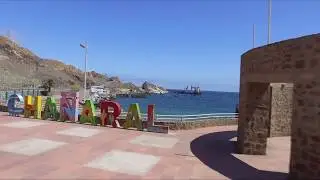 cha&ntilde;aral  2019