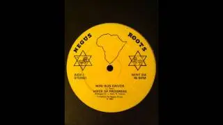 Voice Of Progress - Mini Bus Driver