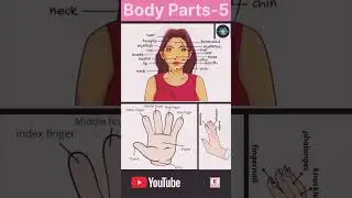 Body Parts-5 || Ali GS Research Centre || Shorts || #upsc || #pcs