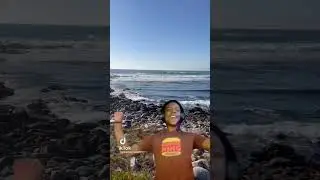 Invasive plants in California