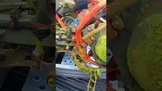 Ремонт двигателя THRASHED ATC350X &mdash; восстановление трёхколёсного автомобиля Honda