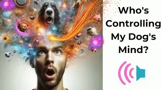 Ep. 2 Who's Controlling My Dog's Mind? Tom, Conrad, Reggie & Viv