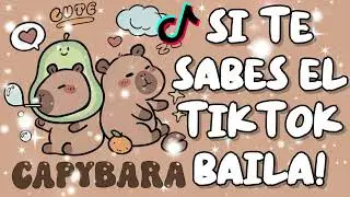 SI TE SABES EL TIKTOK BAILA! - 2025