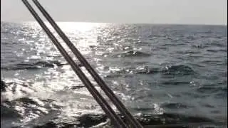 Alberg 30 Early Morning Sail