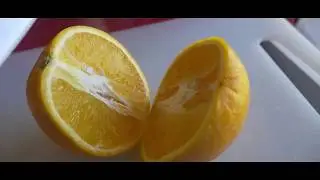 Van Life - Breakfast (Cinematic B-roll)