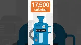 I gained 5 pounds in one day, how did this happen?! | GOLO