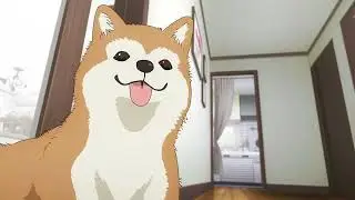 Jimihen
