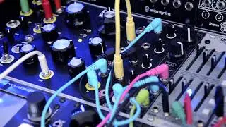 The Bateleur -Birdkids with Lifeforms Micro Sequence-Pittsburgh Modular