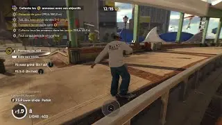 skate._Que je galère pour un objectif facile