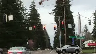 Programmed 3M, Standard LFE & McCain 5 Lens Traffic Signal 🚦