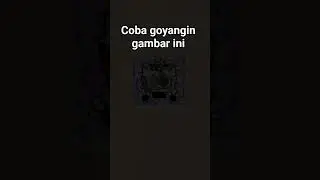 conga conga