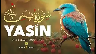 Relax Your Heart & Sleep Peacefully | Ultimate RELAXING Quran to Ease Your Soul | Zikrullah TV
