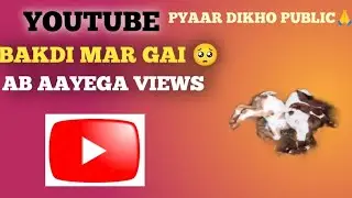 🗣️BAKDI KE DO BACHHE MAR GAYE PUBLIC 🥺 BHUT HARD VIDEO MOTIVATE KARO #hardworkworks #minivlog #vlog