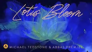 Lotus Bloom - Michael Tedstone & Abbas Premjee