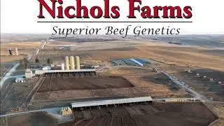 Nichols Farms