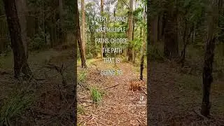 Follow the path to happiness....