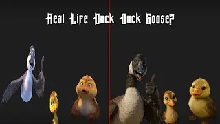 Duck Duck Goose Characters in Real Life | AI Transformation 🦆✨🐣