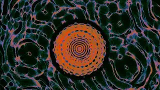 cymatic maggot brain