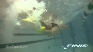 FINIS Zoomers&reg; Gold: новая формула комфорта и производительности