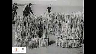 Halászat a Fertő-tavon (1957)
