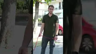 E tu ti sei mai chiest* a cosa serve l'obbedienza?