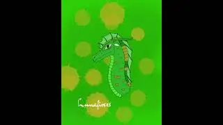 They Built Me Angry: Sundew (A Fan-made Wings of Fire Song)