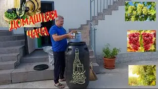 Домашняя ЧАЧА из виноградного жмыха. Самый простой рецепт.