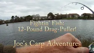 12 Pound Drag Puller 112220