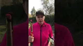 Почему я занимаюсь скандинавской ходьбой уже более 10 лет. Как мне помогает скандинавская ходьба 
