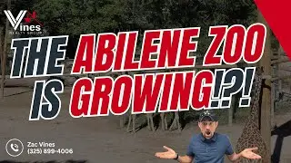The Abilene Zoo Has BIG Plans!! 🦁 | Events, Attractions, Summer Camps & Upcoming Zoo Expansions!