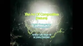 Digital Photography Final Assignment (by Amber Lim Shan Yii)