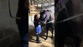 Odessa is the best #horse #valanka #valnkavlogs #horsegirl #horselife 