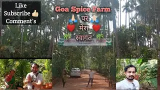 🌴Goa Sahakari Spice Plantation Farm 🌴 #farm #trending #sahakarifarmgoa #goa #vlog #plantation