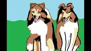 Different kinds of Collie dogs from Periwinkle and friends animal stories for kids