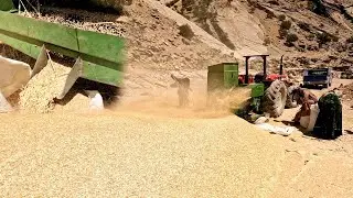 .Nomadic lifestyle: harvesting agricultural products and storing them for sheep food