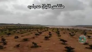 متنفس أشجار اللبان بـ عدونب