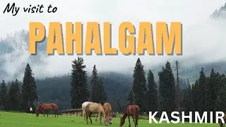 Pahalgam. Kashmir India&rsquo;s most beautiful location betaab valley #travel #kashmir #youtube 