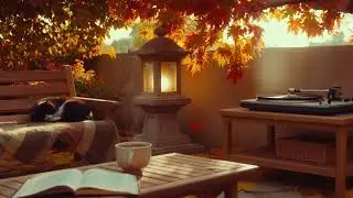 Soothing Lofi Beats for Relaxation & Focus | Chill Background Music for Study, Work and Sleep