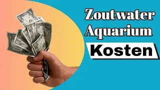 ZOUTWATER AQUARIUM hoeveel kost het?. | Aquarium Sunshine Valley