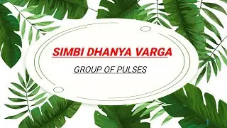 Simbi Dhanya Varga || Bams | Group Of Pulses