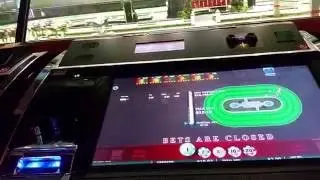 Royal Derby Horse Racing New Slot Machine