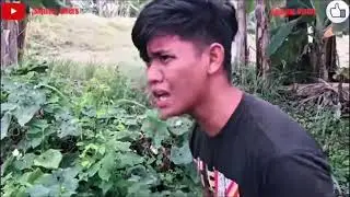 bungol part 3 / siquijor viners