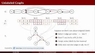 Succinct Preferential Attachment Graphs