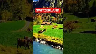 SWITZERLAND #switzerland #switzerlandmylove #switzerlandtour