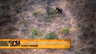 Elephant Relocation with High Adventure Company