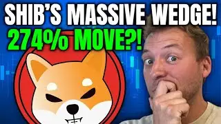 СИБА-ИНУ - МОЩНЫЙ КЛИН СИБА!!! РЕКОМЕНДУЕТСЯ ХОД НА 274%!
