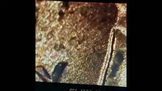 1964 Penny Error👽👽