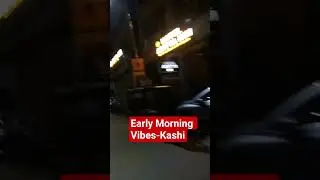 🌅 Morning Magic of Kashi ✨#shortvideo #travel #kashi #kashivishwanath #deserthawk369 #banaras #hindu