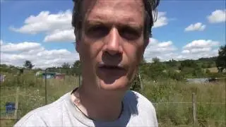 Picking and Planting - Allotment Grow How