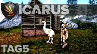 Ein Freund mit Federn -ICARUS- Tag 5